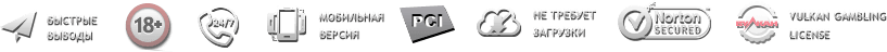 footer icons